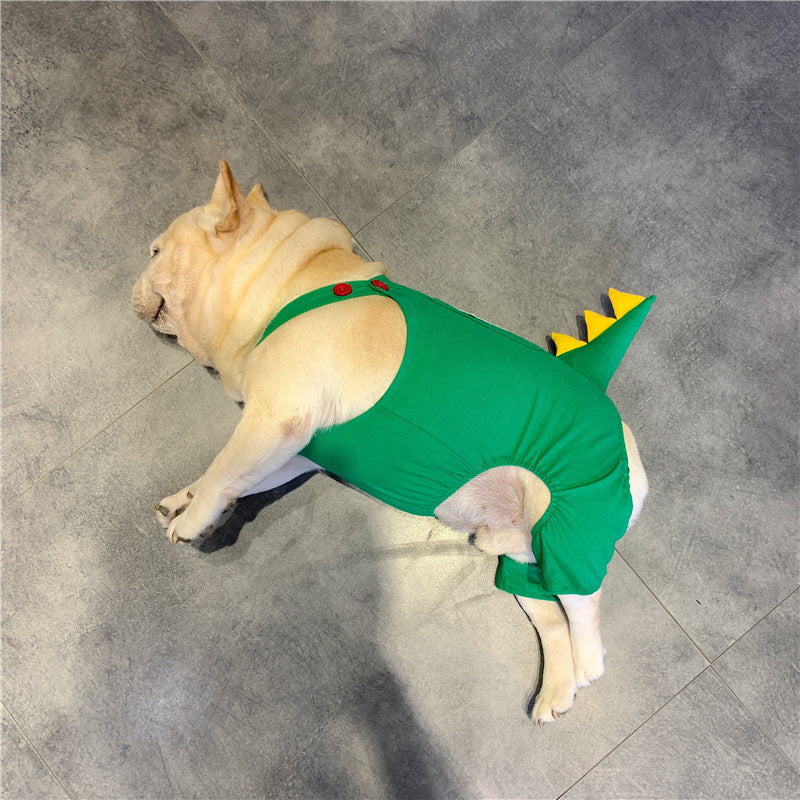 Suspenders Dinosaur Clothes