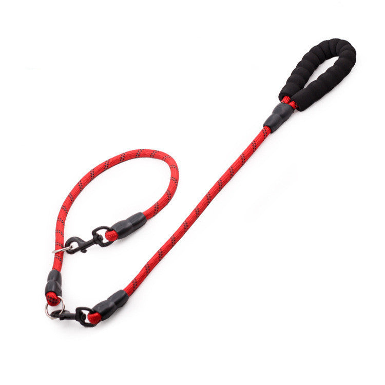 Golden Retriever Large Dog Rope