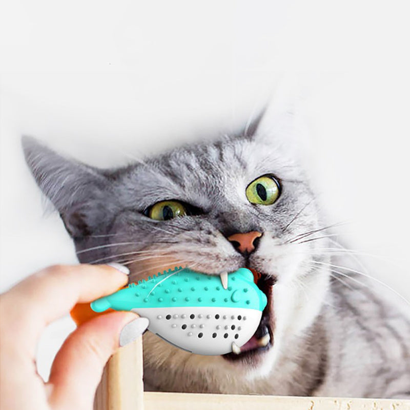 Mint Toys Grabing For Chew