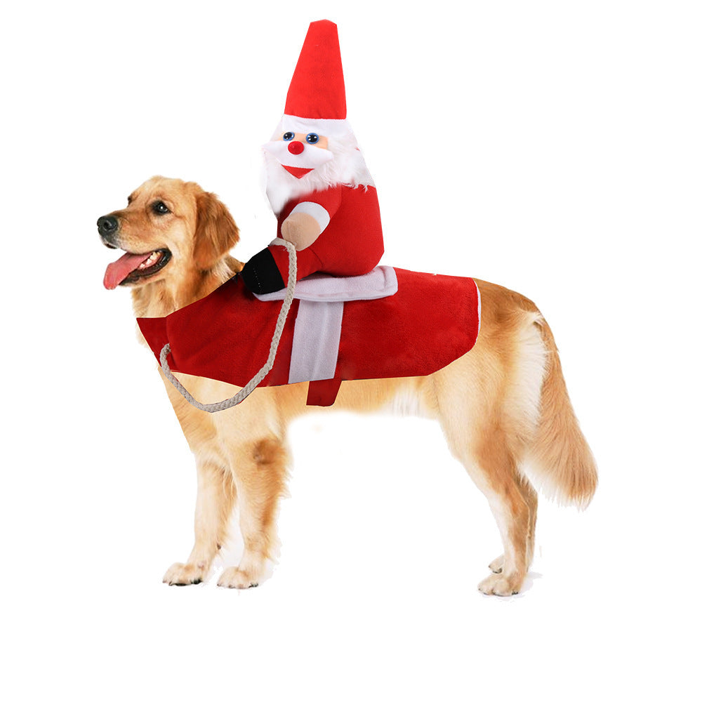 Dog Clothes Change Into Horse Riding Outfit