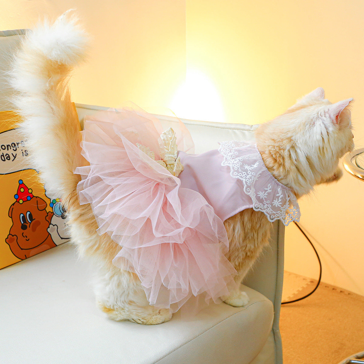 Cat Clothes Lace