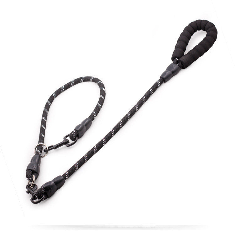 Golden Retriever Large Dog Rope