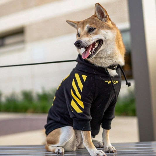 Three-stripe dog sweaters