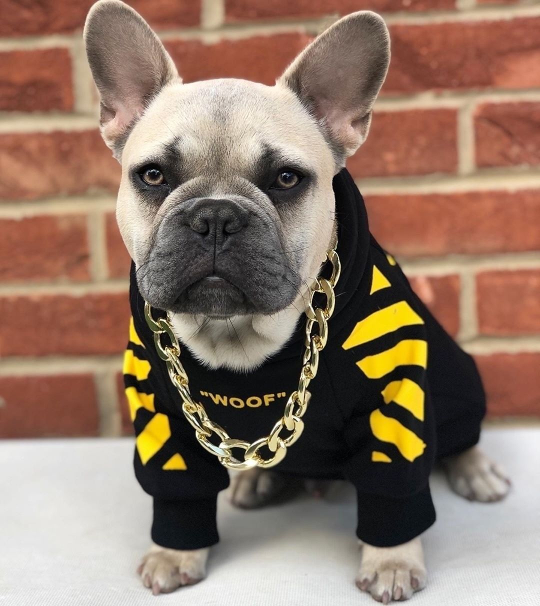 Three-stripe dog sweaters