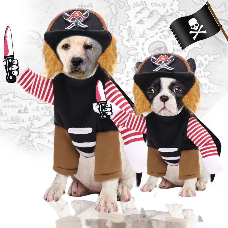 Dog Clothes Change Into Horse Riding Outfit