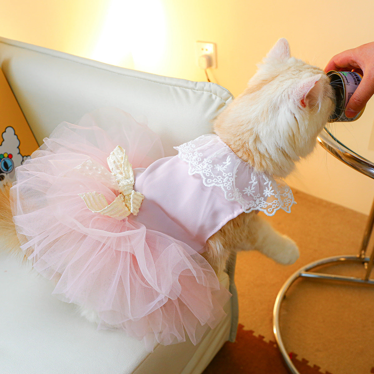 Cat Clothes Lace