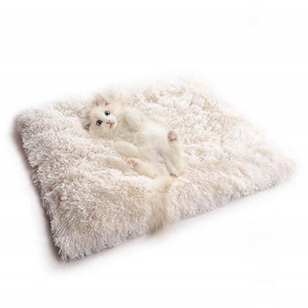 velvet cat bed