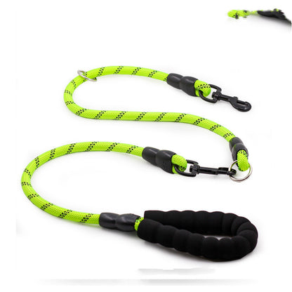 Golden Retriever Large Dog Rope