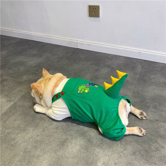 Suspenders Dinosaur Clothes