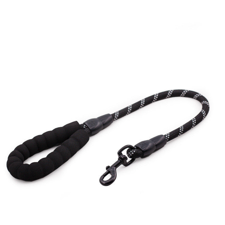 Golden Retriever Large Dog Rope