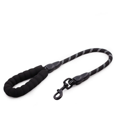 Golden Retriever Large Dog Rope