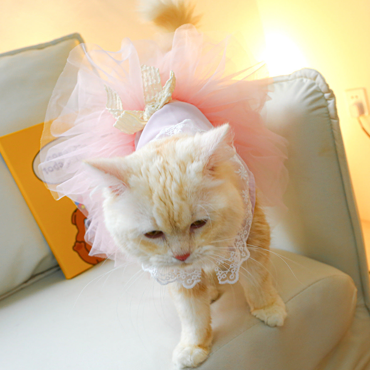 Cat Clothes Lace