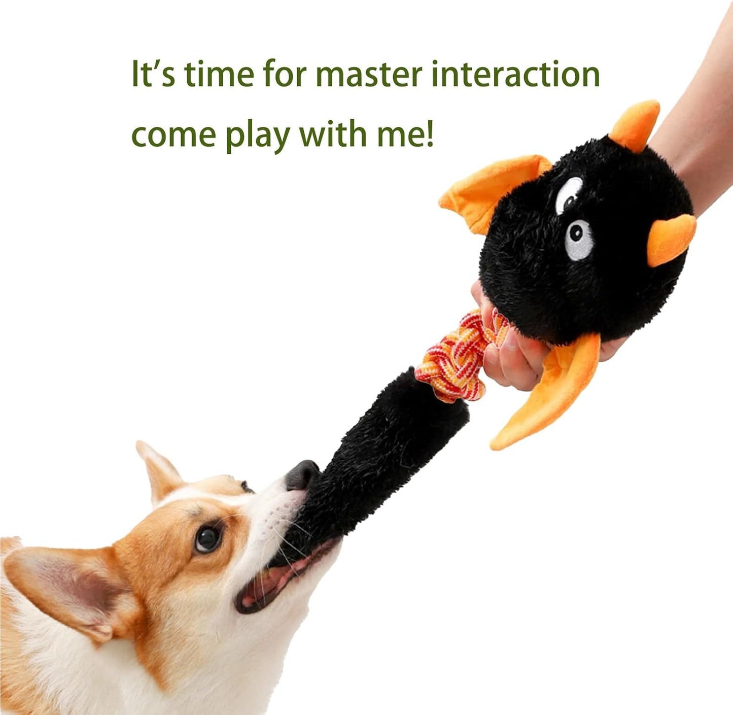 Squeaky Dog Toys