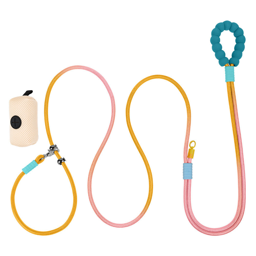 Cross Hand Holding Leashes