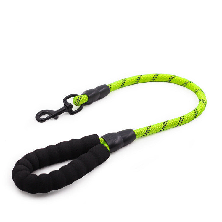Golden Retriever Large Dog Rope