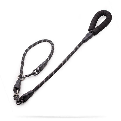 Golden Retriever Large Dog Rope